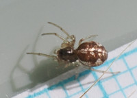 P7111129