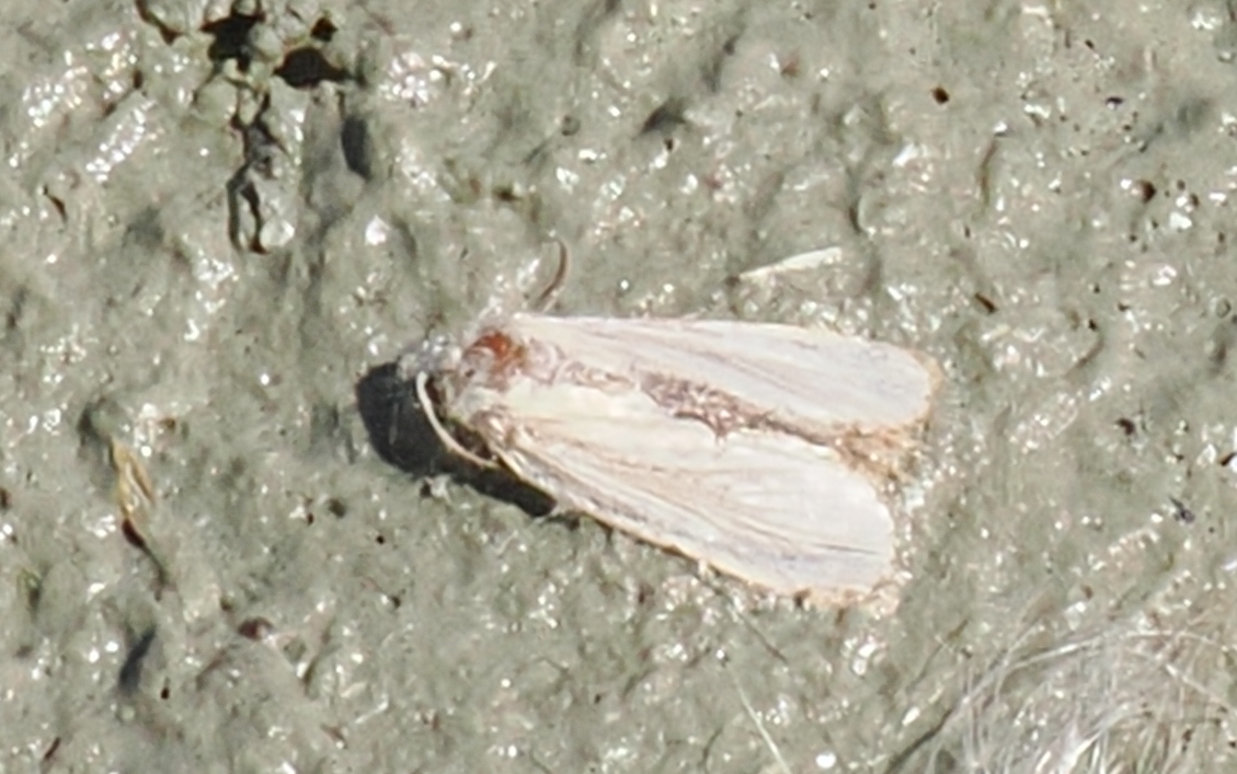 P7111255