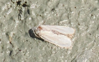 P7111255