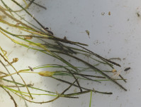 P7111088